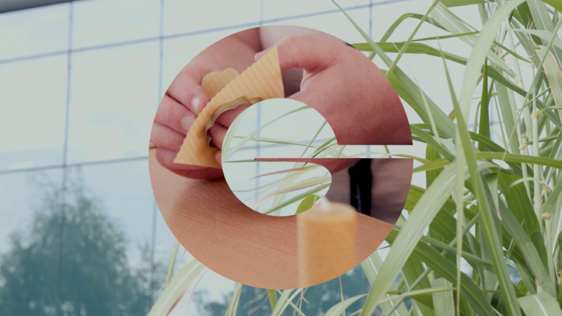 vlcsnap 2024 01 24 16h08m13s579