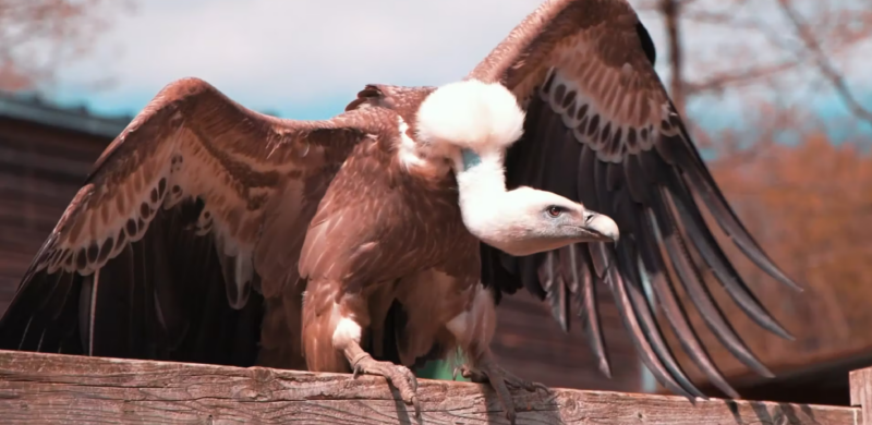 capture d'écran 2024 01 24 115739