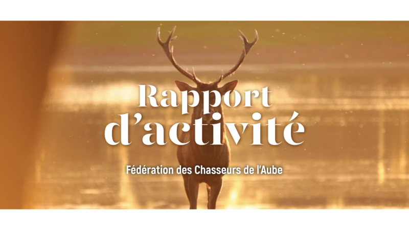 vlcsnap 2024 03 12 15h49m46s531