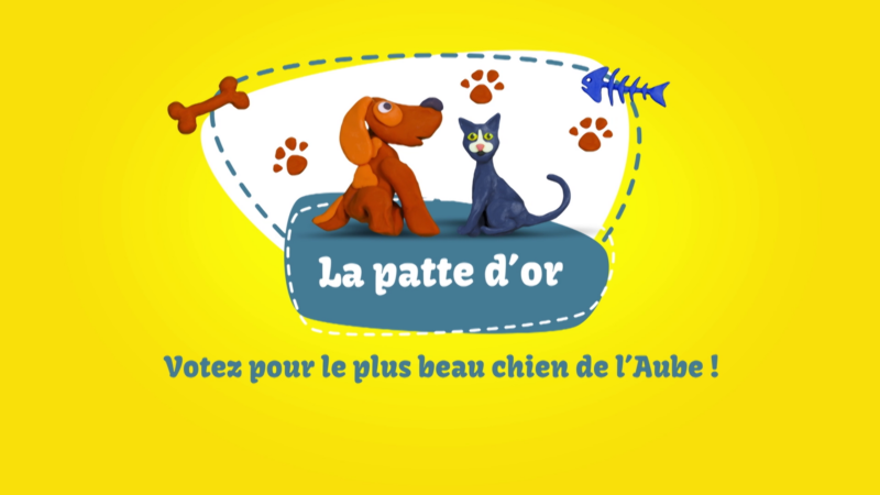 vlcsnap 2024 03 12 15h50m14s735