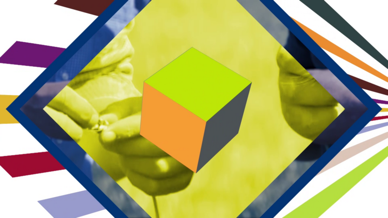 vlcsnap 2024 03 12 15h51m10s395